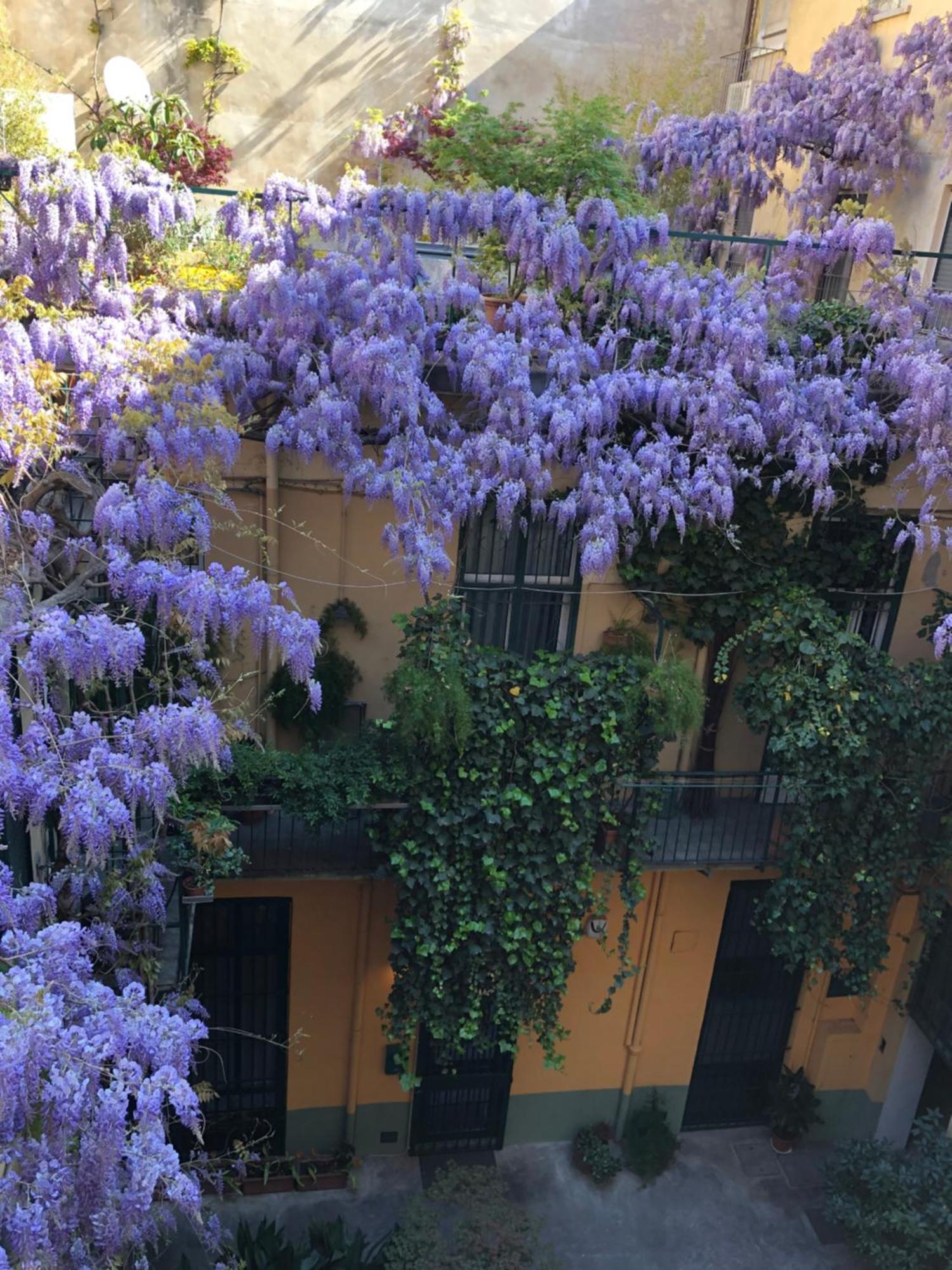 Ferienwohnung La Casa Degli Angeli Turin Exterior foto