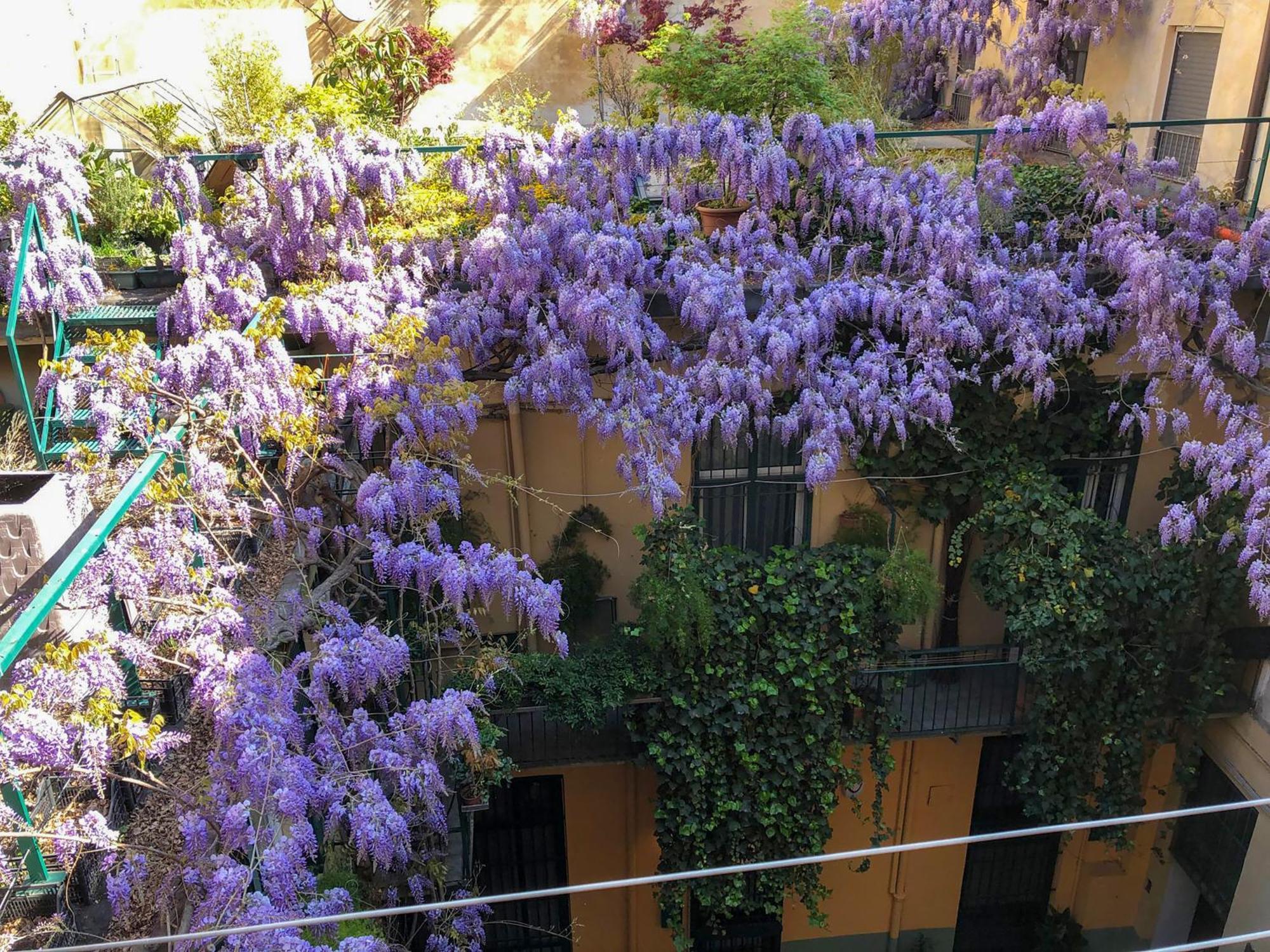 Ferienwohnung La Casa Degli Angeli Turin Exterior foto